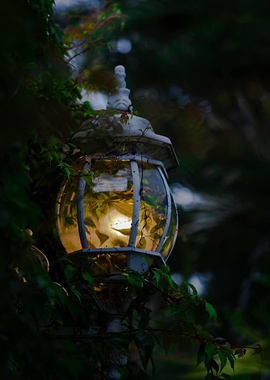 Glowing Lantern Surrounded by Greenery