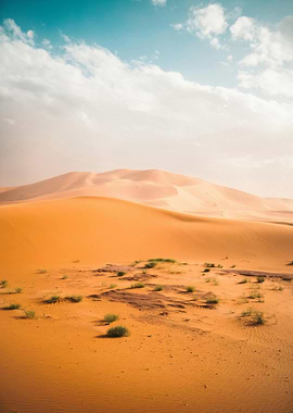 Desert Landscape with Dunes and Sky
