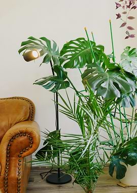 Indoor Plants and Leather Armchair