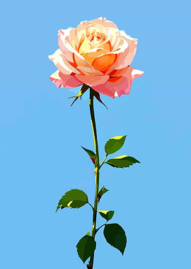 Peach Rose Against Blue Sky