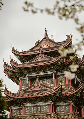 Ornate Asian Pagoda with Blossoming Tree