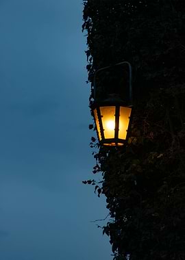 Illuminated Lantern on Ivy-Covered Wall