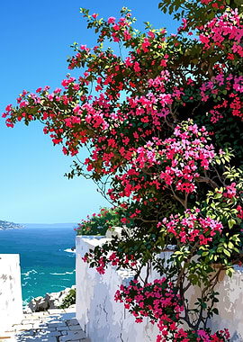 Mediterranean Coast with Bougainvillea Flowers