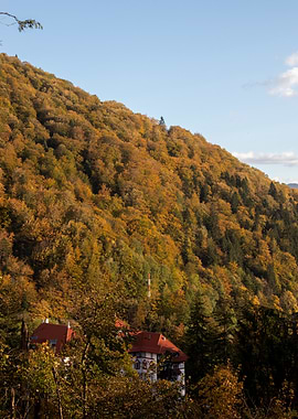 Autumn Mountain with Building