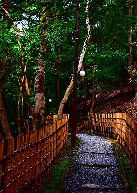 Japanese Garden Path with Bamboo Fence