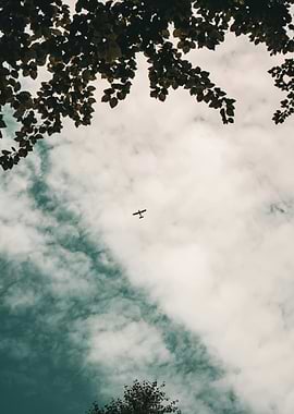 Airplane in Cloudy Sky with Trees