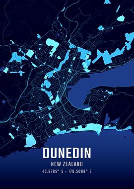 Dunedin Midnight City Map
