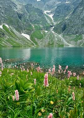 Mountain Lake with Pink Flowers