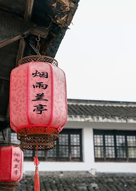 Pink Chinese Lanterns Hanging Outdoors