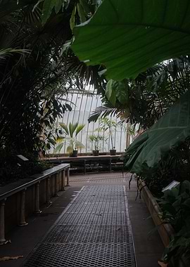 Greenhouse Interior with Tropical Plants