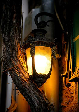 Illuminated Vintage Street Lamp with Tree