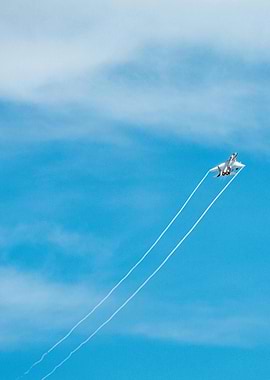 F-15 Eagle in flight