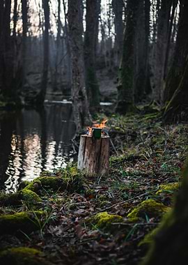 Campfire Coffee in the Woods