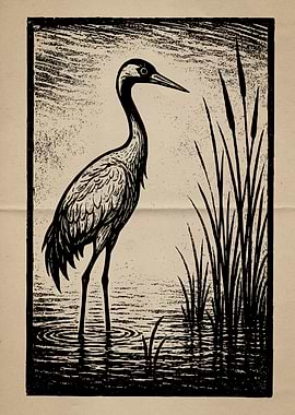 Crane in Water Woodcut Illustration