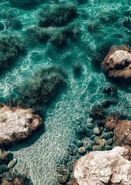 Crystal Clear Water with Rocks and Grass