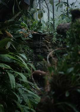 Lush Greenery with Small Waterfall