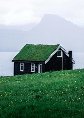 House with grass roof in nature
