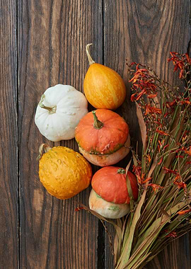 Autumnal Pumpkins and Dried Flowers Still Life