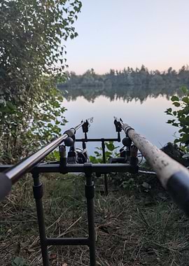 Fishing rods by a calm lake