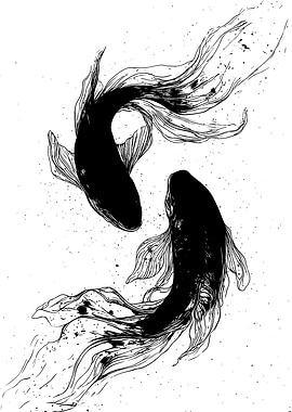 Two Black Koi Fish Illustration