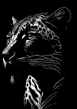 Monochrome Leopard Portrait