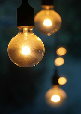 Hanging Light Bulbs
