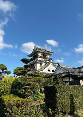 japanese castle under blue sky