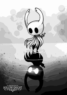 Hollow Knight Reflection