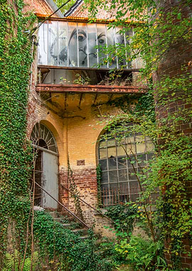 Overgrown Building with Face in Window