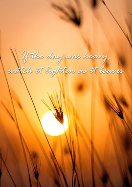 Sunset Through Grass with Inspirational Quote