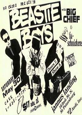 Beastie Boys Concert Poster