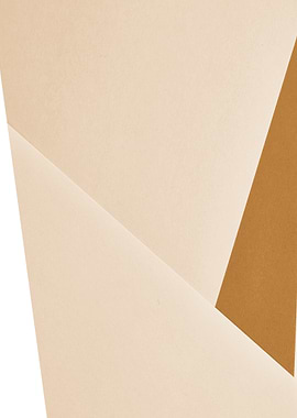 Abstract Beige and Brown Geometric Design