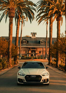 Audi RS5 with Palm Trees
