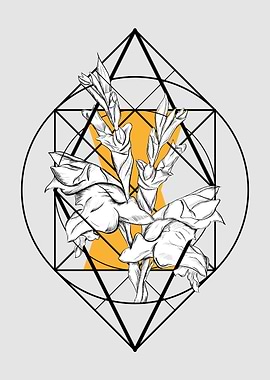 Gladioli geometric space