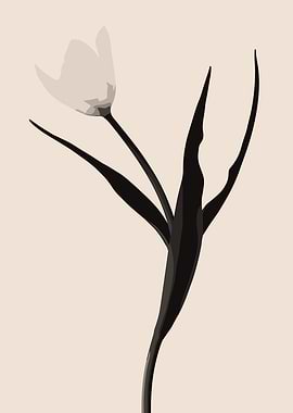Minimalist Tulip Illustration