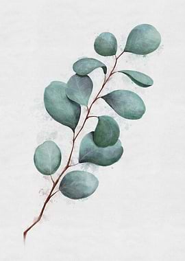 Eucalyptus Branch Watercolor Painting