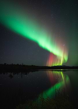 Aurora Borealis Reflection