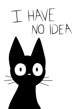 Black Cat with 'I Have No Idea'