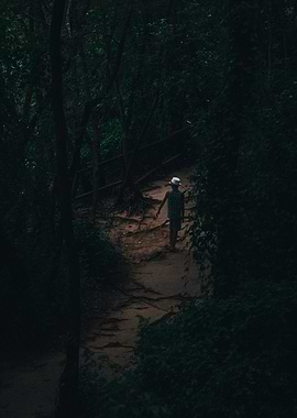 Person Walking Through Dark Forest Path