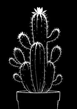 White Cactus on Black Background