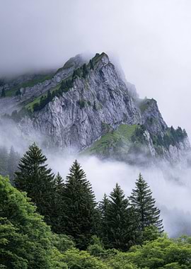 Misty Mountain Landscape with Pine Trees