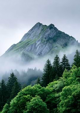 Mountain Peak Emerging from Foggy Forest