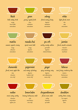 Tea Guide Infographic