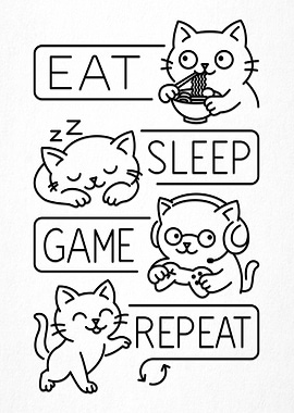 Daily routine for a cat