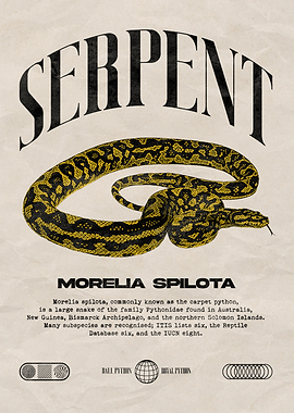 Carpet Python Morelia Spilota Poster