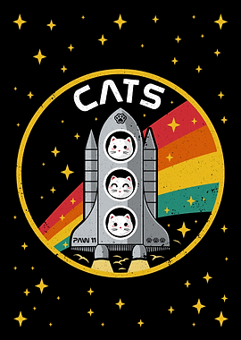 Paw 11 Space Mission – Retro Cats in Rocket