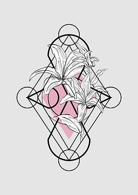 Pink lily geometric space