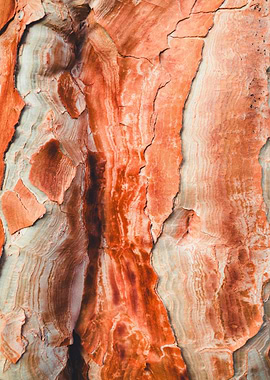 Textured Orange and White Rock Formation