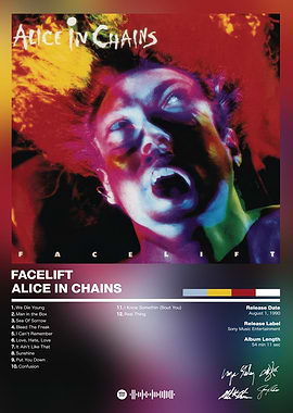 Alice In Chains - Facelift