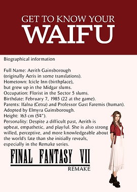 Final Fantasy VII Aerith Gainsborough Profile